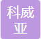 山东科威亚