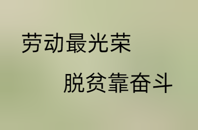 “劳动最光荣 脱贫靠奋斗”——2020年就业扶贫论坛成功举办