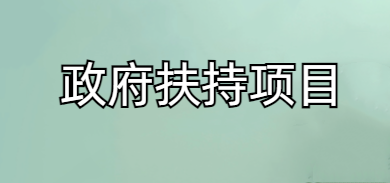 政府扶持项目有哪些（重点支持乡村振兴的领域项目）